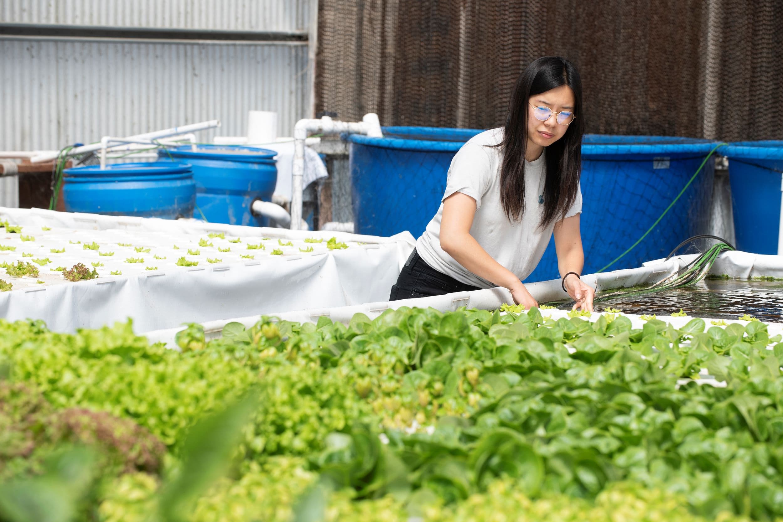 Agribusiness and Food Industry Management