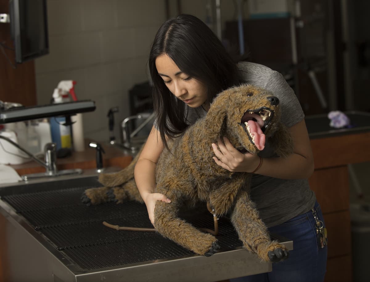Animal Science
