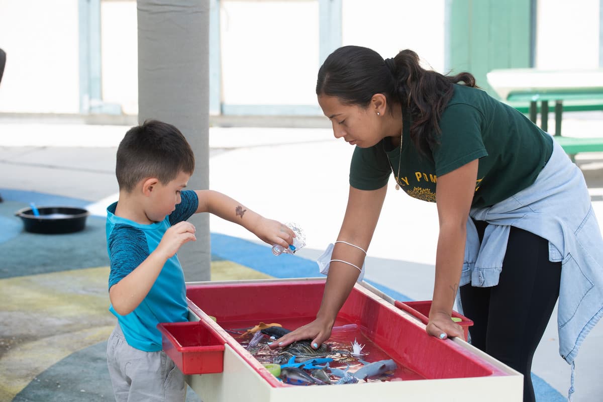 Early Childhood Teaching