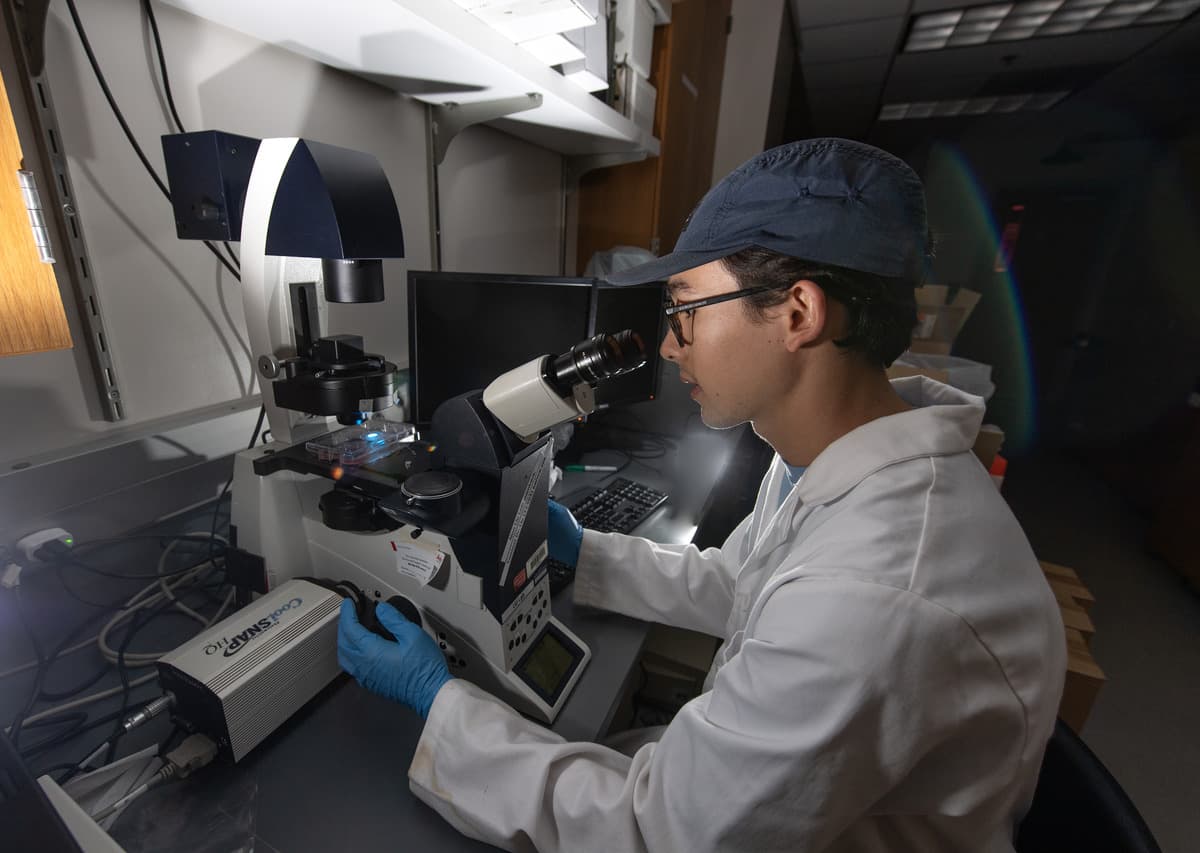 Science, Technology and Society