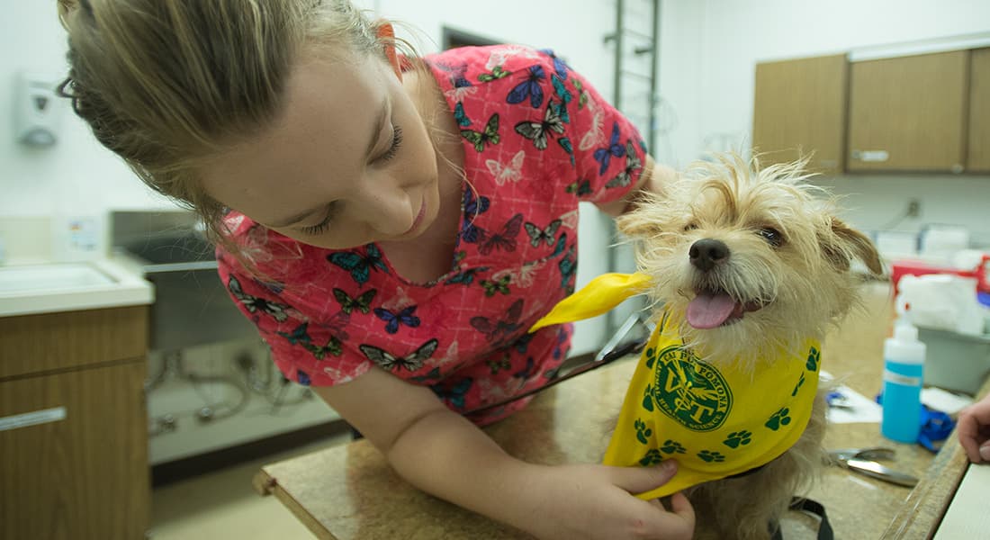 Animal Health Science