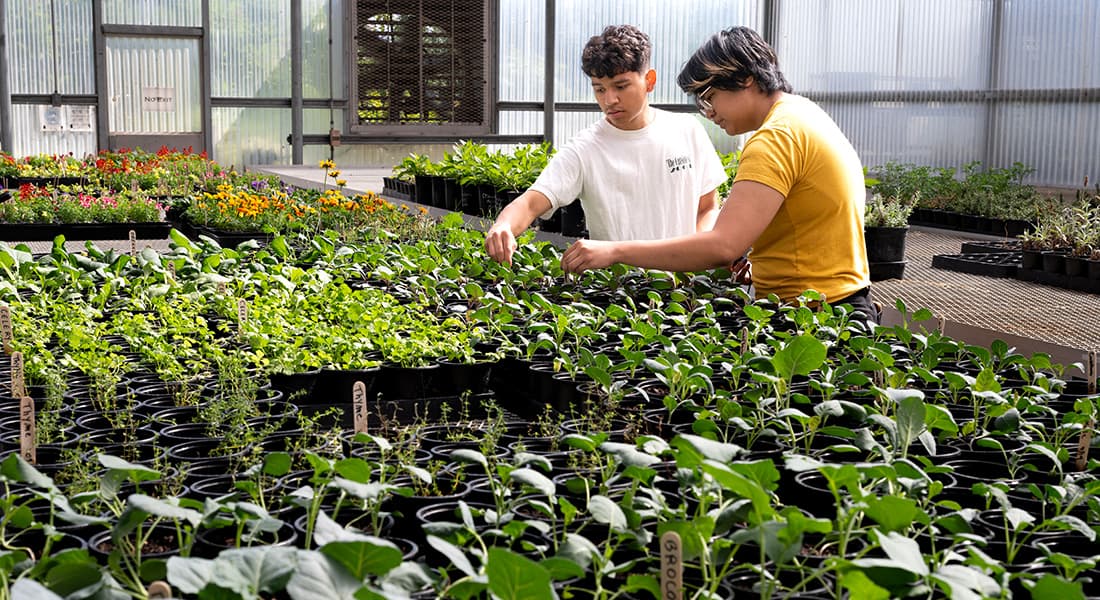 Plant Science